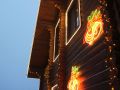                                                    DSC03433