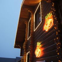                                                   DSC03433