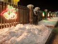                                                    IMG 0484