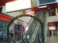                                                          DSC03903