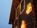                                                            DSC03433