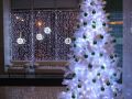                                                            IMG 4716